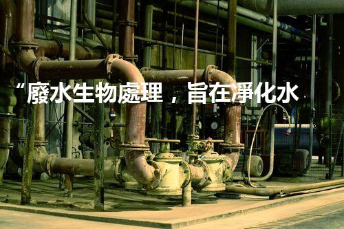 “廢水生物處理，旨在凈化水源，守護(hù)碧水藍(lán)天”
